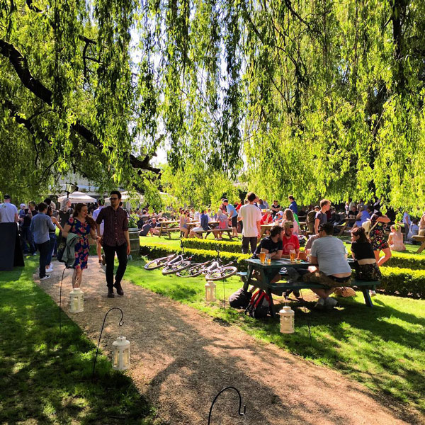 Beer & Cider Festival Oxford